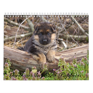 Calendrier des chiots allemands 2016