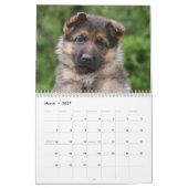 Calendrier des chiots allemands 2016 (Mar 2027)