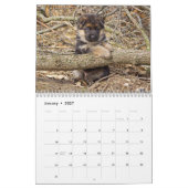 Calendrier des chiots allemands 2016 (Jan 2027)