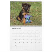 Calendrier des chiots allemands 2016 (Feb 2027)