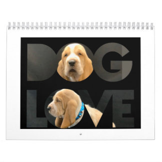 Calendrier des chiots de Basset hound