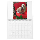 Calendrier des chiots de Basset hound (Jan 2027)