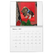 Calendrier des chiots de Basset hound (Feb 2027)