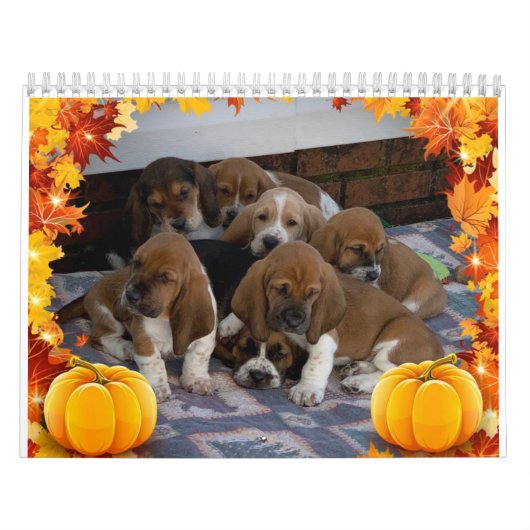 Calendrier des chiots de Basset hound (Protection)
