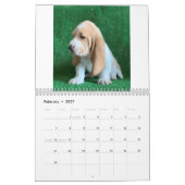 Calendrier des chiots de Basset hound (Feb 2027)