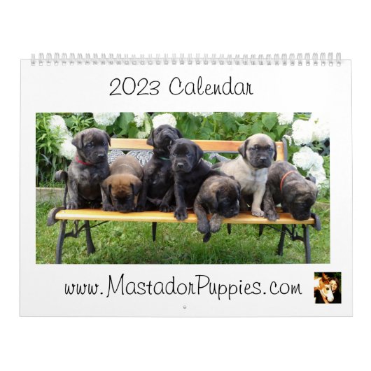 Calendrier des chiots Mastador 2023 (Protection)