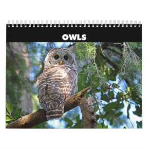 Calendrier des Chouettes sauvages