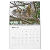 Calendrier des Chouettes sauvages (Mar 2027)