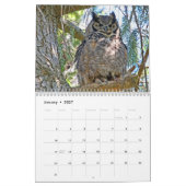 Calendrier des Chouettes sauvages (Jan 2027)