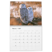 Calendrier des Chouettes sauvages (Feb 2027)