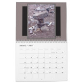Calendrier des chutes du lac Supérieur (Jan 2027)