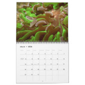 Calendrier des cloquets de corail par J.W. Patrie. (Mar 2026)