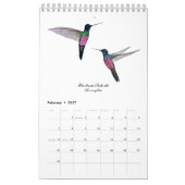 Calendrier des colibris (Feb 2027)