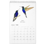 Calendrier des colibris (Jan 2026)