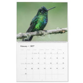 Calendrier des colibris (Feb 2027)