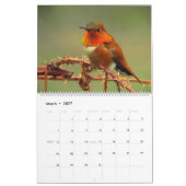 Calendrier des colibris (Mar 2027)