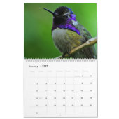 Calendrier des colibris (Jan 2027)