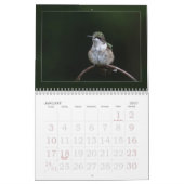 Calendrier des colibris (Jan 2027)