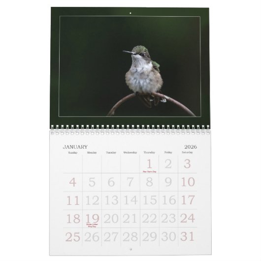 Calendrier des colibris (Jan 2026)