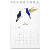 Calendrier des colibris (Jan 2026)