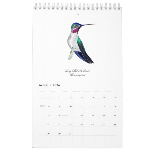 Calendrier des colibris (Mar 2026)