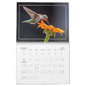 Calendrier des colibris (Mar 2026)