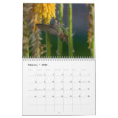 Calendrier des colibris avec des images uniques (Feb 2026)