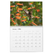 Calendrier des colibris avec des images uniques (Jan 2026)