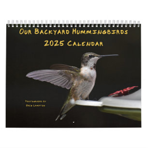 Calendrier des colibris de jardin 8,5 po x 11 po