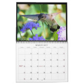 Calendrier des colibris de Suncrest 2021 (Mar 2027)