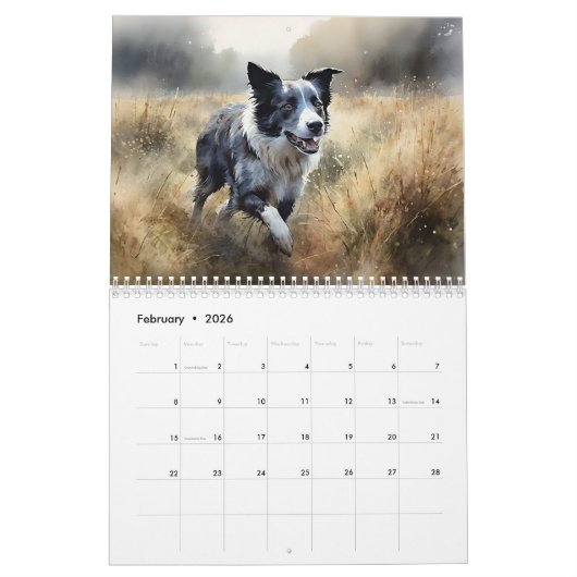 Calendrier des collies frontalières, chaque année (Feb 2026)