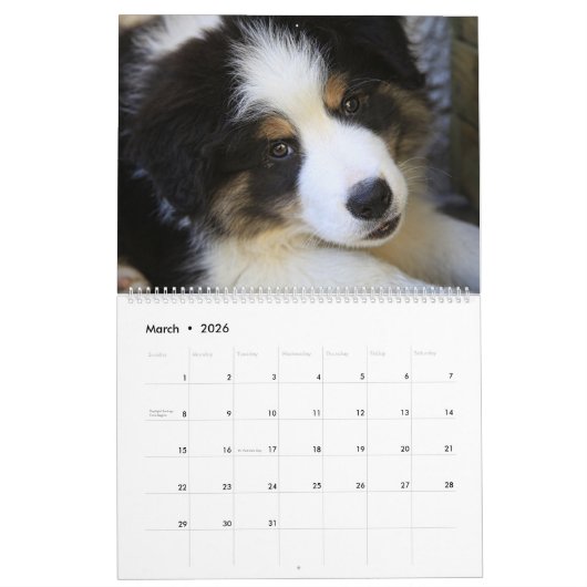 Calendrier des colonnes frontière mixte Amoureux d (Mar 2026)