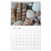 Calendrier des coquilles de mer 2024 Romantique tr (Jan 2026)