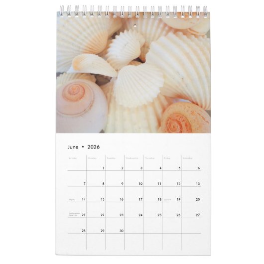 Calendrier des coquilles de mer 2024 Romantique tr (Jun 2026)