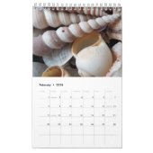 Calendrier des coquilles marines Tropique exotique (Feb 2026)