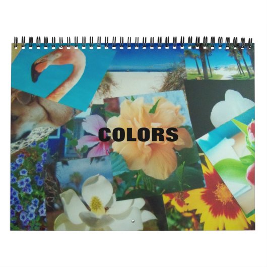 Calendrier des couleurs (Protection)