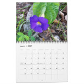 Calendrier des couleurs (Mar 2027)