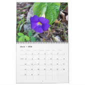 Calendrier des couleurs (Mar 2026)