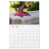 Calendrier des couleurs d'automne (Mar 2027)