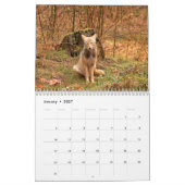 Calendrier des coyotes (Jan 2027)