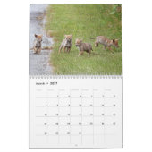 Calendrier des coyotes (Mar 2027)
