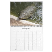 Calendrier des crocodiles  (Jan 2027)