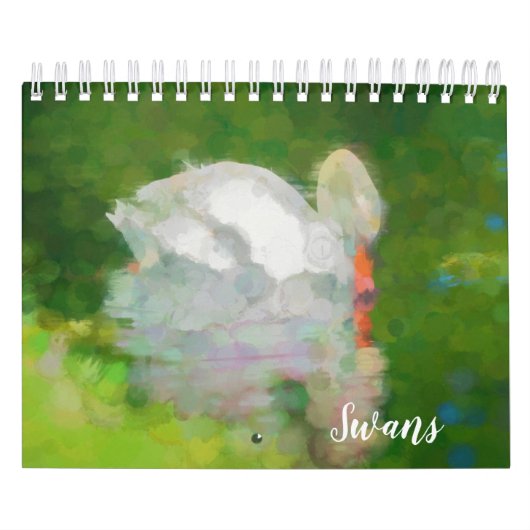 Calendrier des cygnes (Protection)