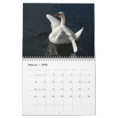 Calendrier des cygnes 2012 (Feb 2026)