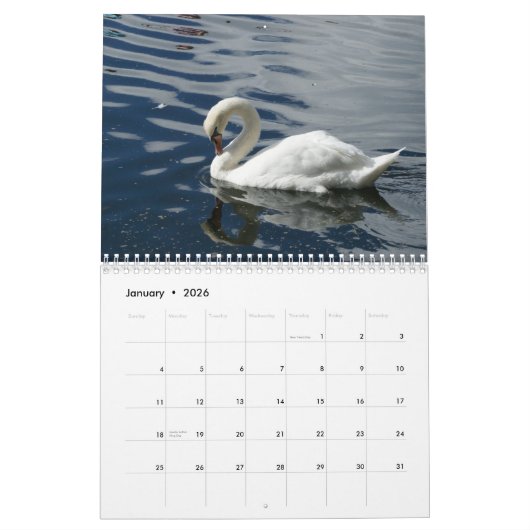 Calendrier des cygnes 2012 (Jan 2026)