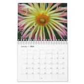 Calendrier des dahlias d'été (Jan 2026)