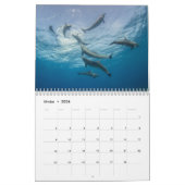 Calendrier des Dauphins カレンダー Kalender (Feb 2026)