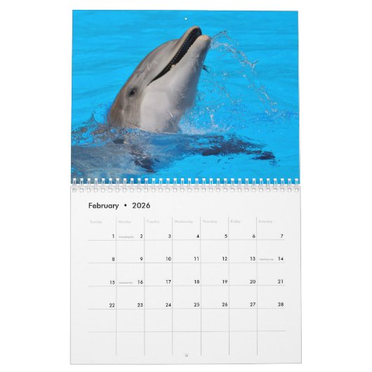 Calendrier des dauphins de Bottlenose (Feb 2026)