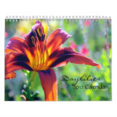 Calendrier des Daylilies 2012 (Protection)