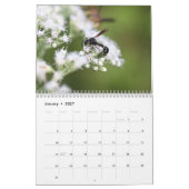 Calendrier des déchets Winsome (Jan 2027)